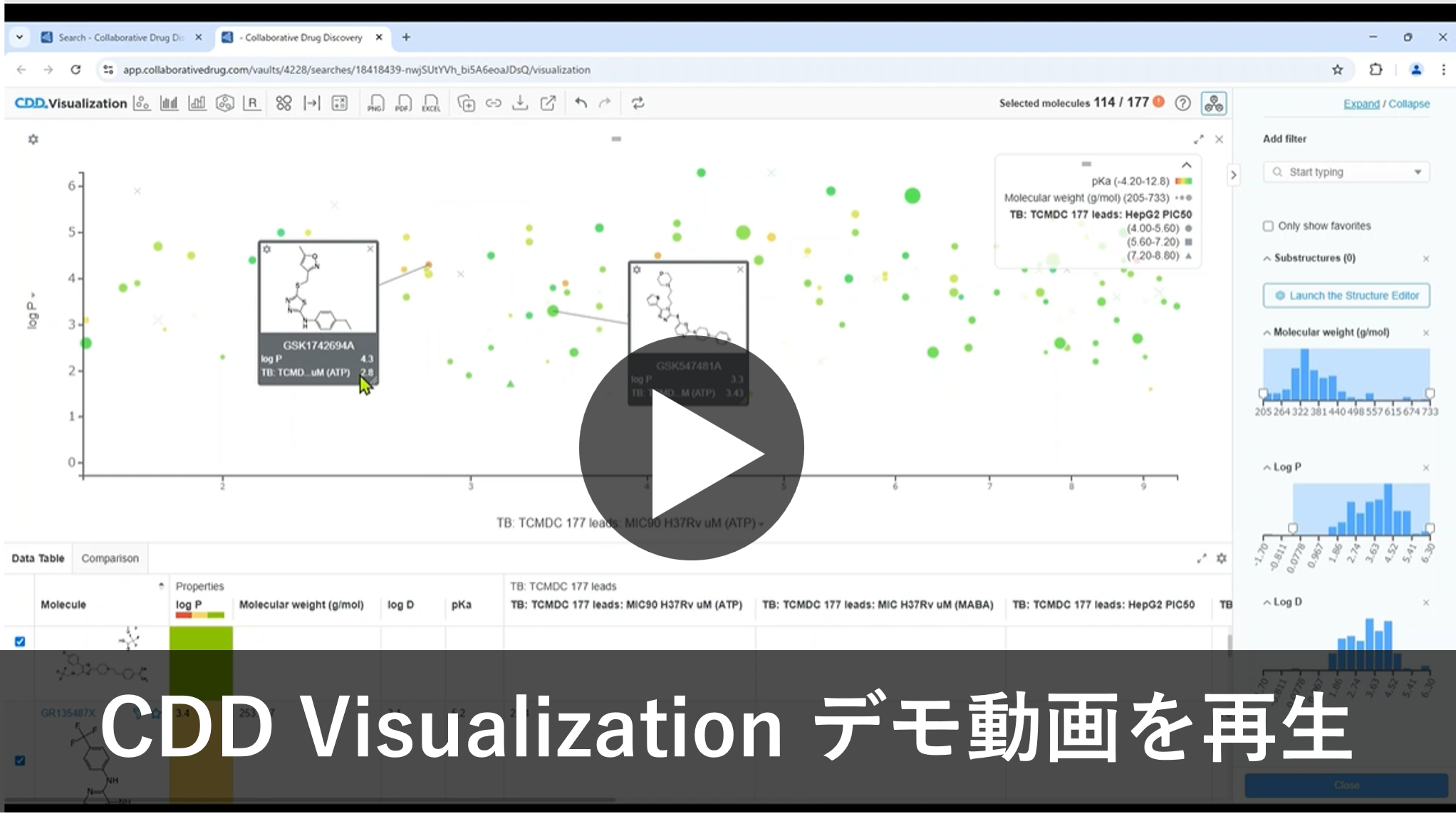 可視化 解析 CDD Vizualization